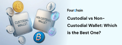Custodial vs Non-Custodial Wallet