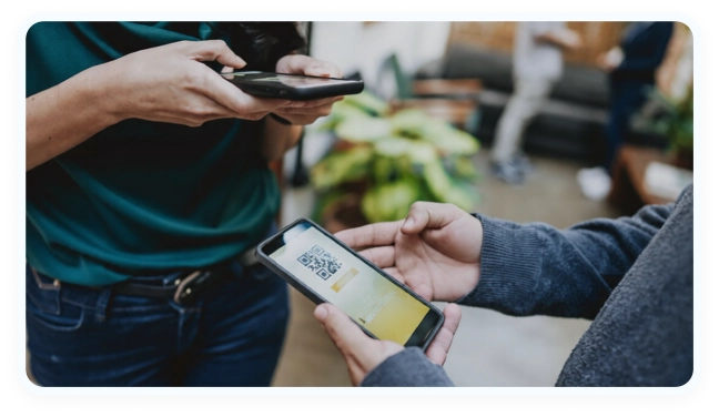 rozapay crypto payment gateway impact