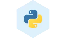 python logo